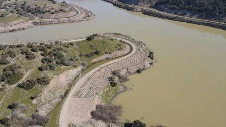 Bu ormandan bal damlayacak, köylüye gelir olacak G3