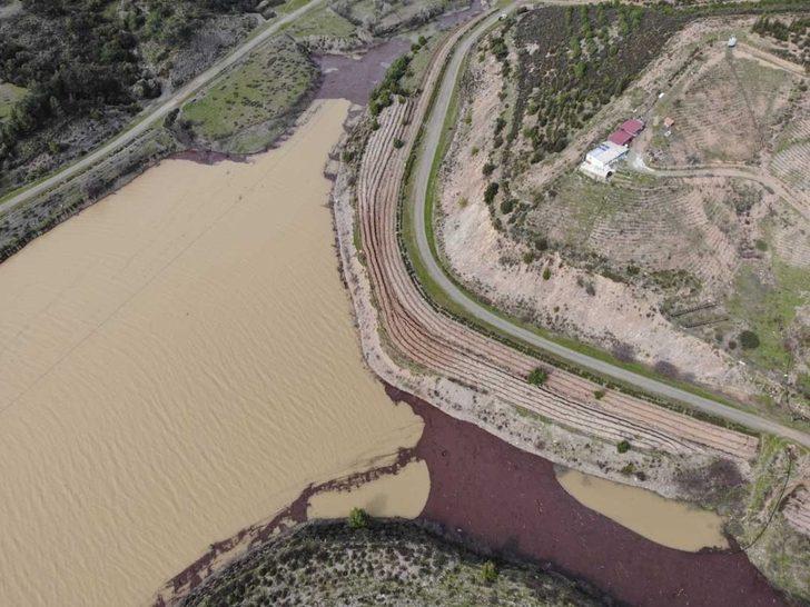 Bu ormandan bal damlayacak, köylüye gelir olacak G5