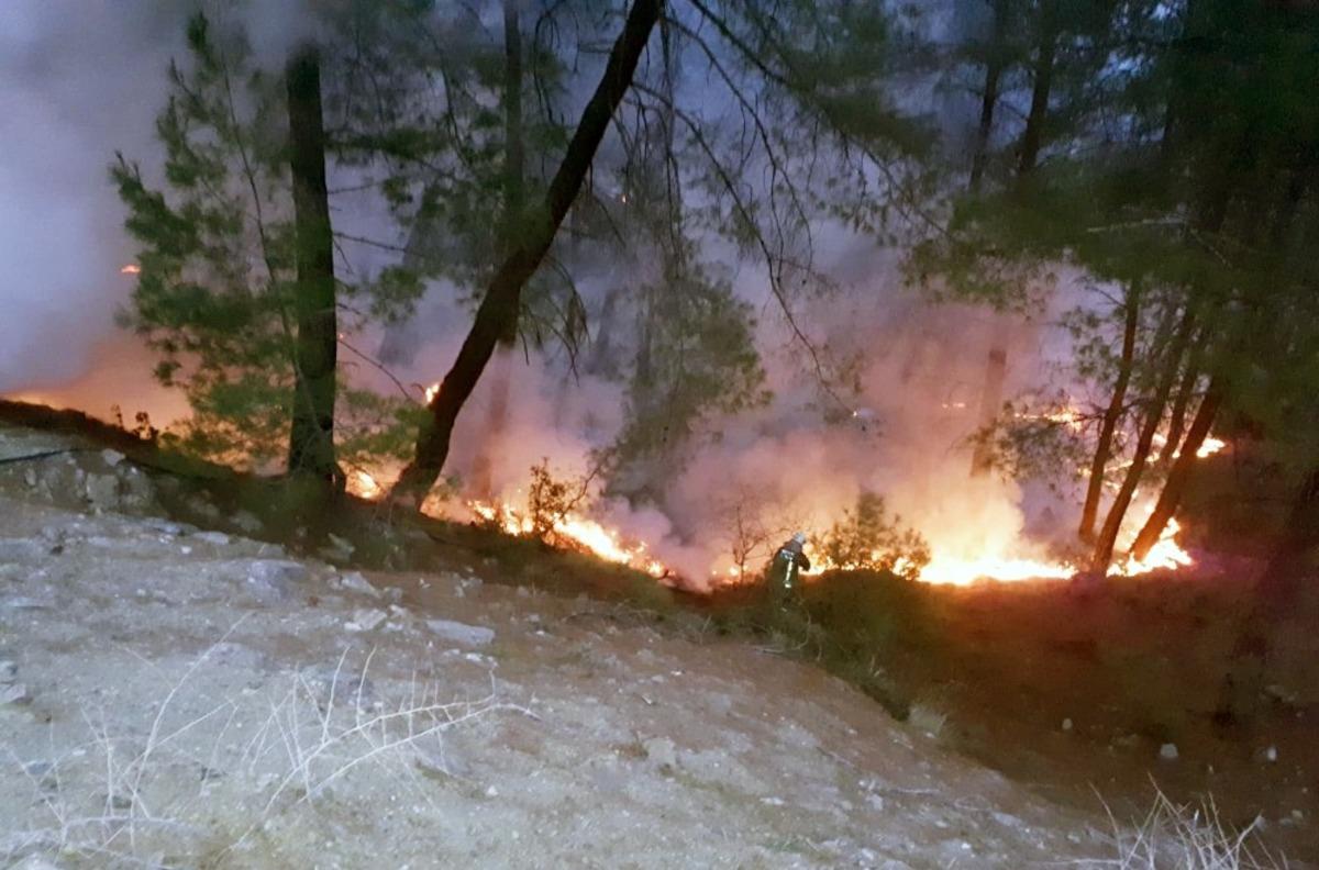 Muğla&rsquo;da yılın ilk orman yangını