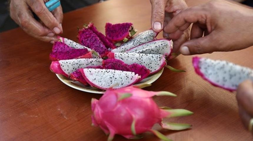 Ejder meyvesi nedir? Ejder meyvesinin faydaları nelerdir? Pitaya T&uuml;rkiye'de nerede yetişiyor?
