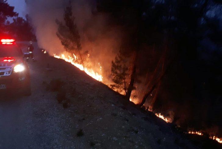 Muğla’da yılın ilk orman yangını G2