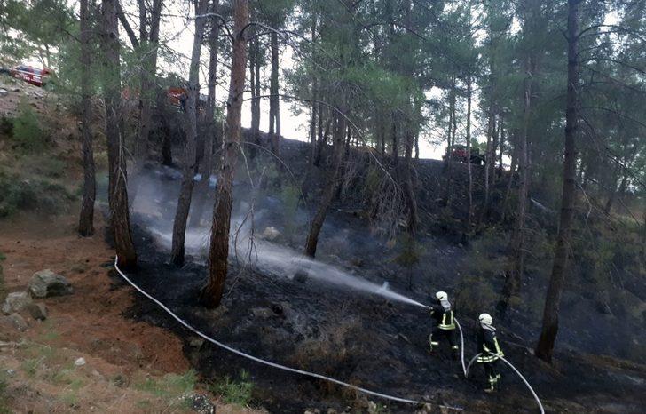 Muğla’da yılın ilk orman yangını G3