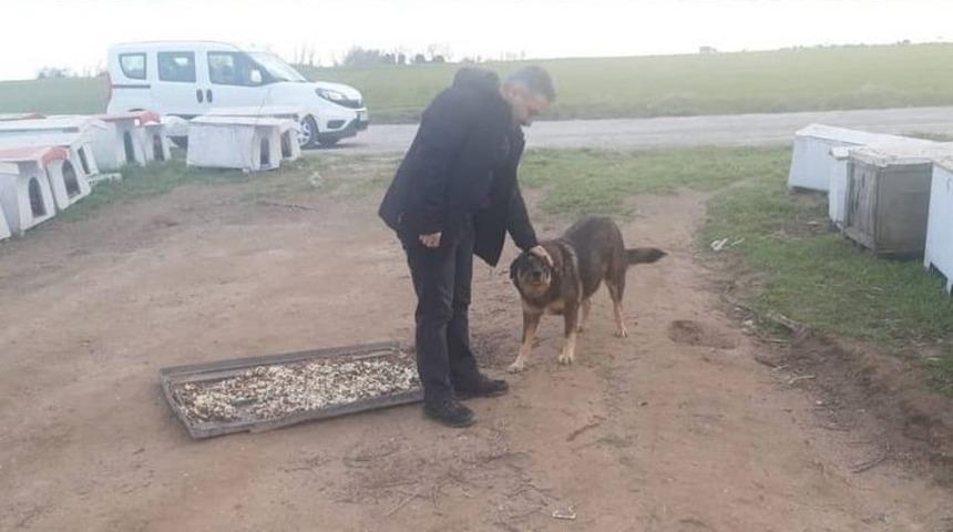 Ergene&rsquo;de sokak hayvanları unutulmuyor