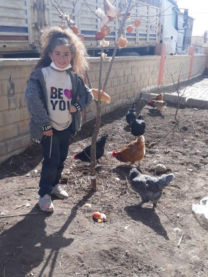 Ağaç dallarına meyve astılar G2