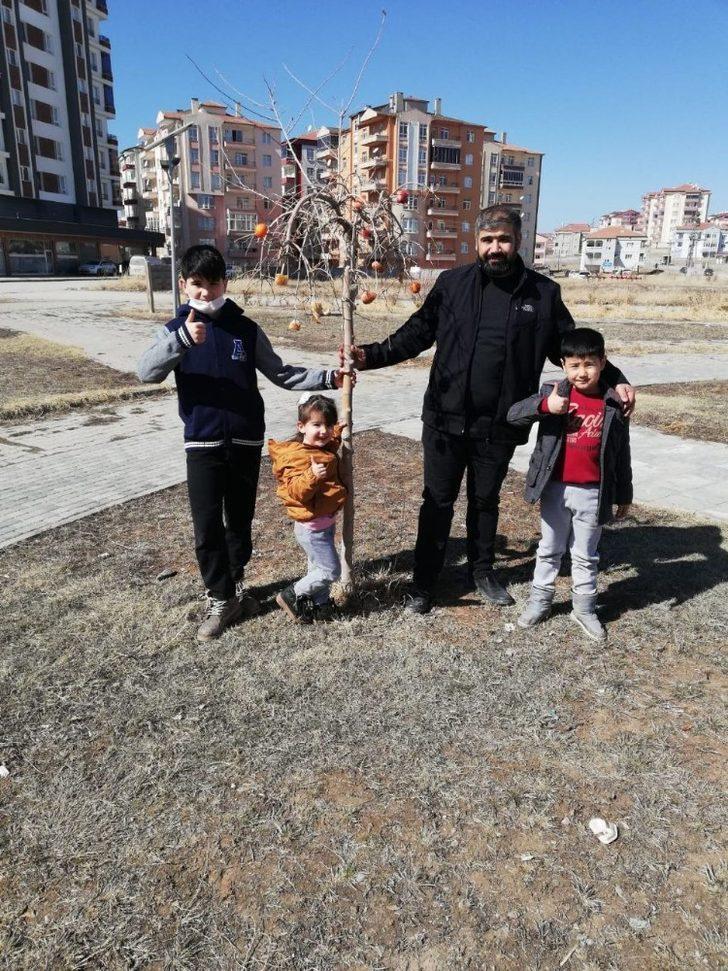 Ağaç dallarına meyve astılar G3