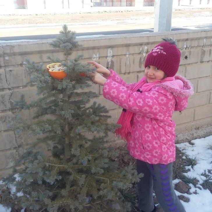 Ağaç dallarına meyve astılar G5