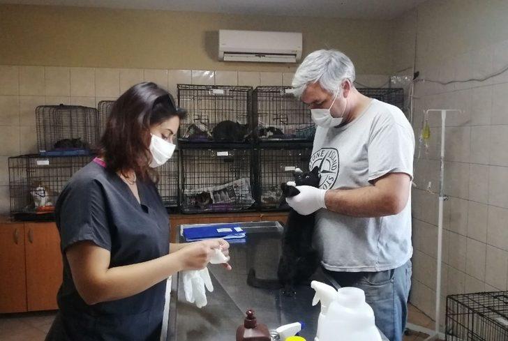 Kemer’de bir ayda 27 sokak hayvanı sahiplendirildi G2