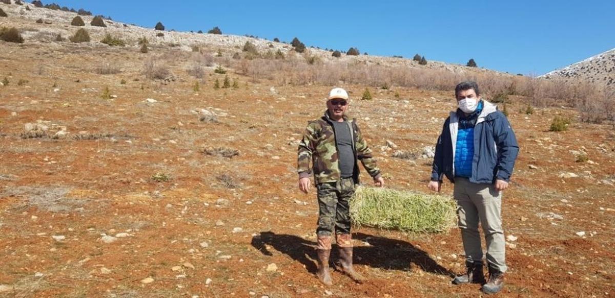 Tufanbeyli&rsquo;de yaban hayatı i&ccedil;in seferberlik