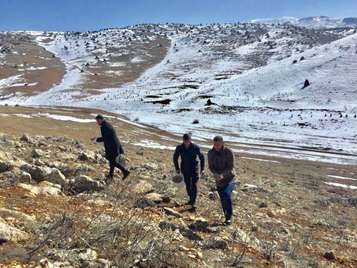 Tufanbeyli’de yaban hayatı için seferberlik G4