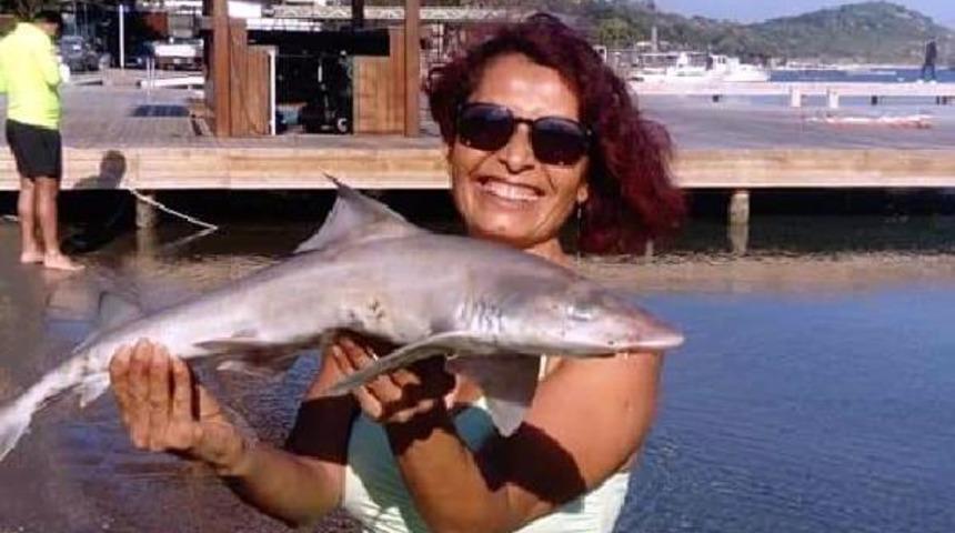 Bodrum'da sahile ölü köpek balığı vurdu