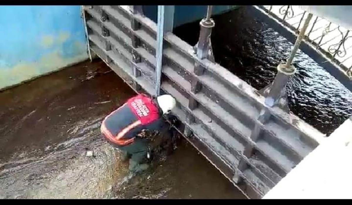 Demir korkuluklara sıkışan kediyi itfaiye kurtardı