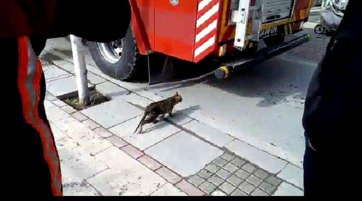 Demir korkuluklara sıkışan kediyi itfaiye kurtardı G3