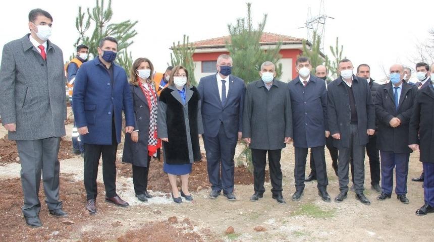 Gaziantep’te 330 adet karaçam ağacı toprakla buluştu