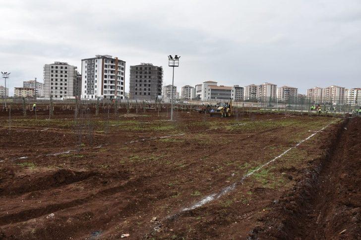 Bağlar’da yılın ilk asfaltlaması Ahmed Arif Caddesine yapıldı G4