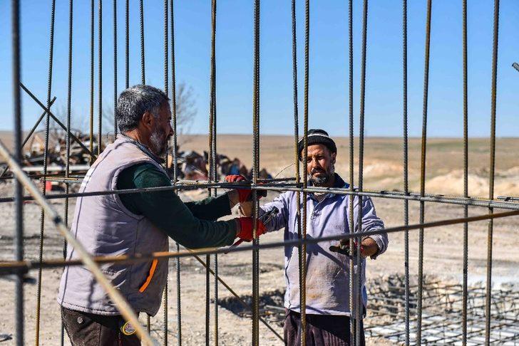 Ceylanpınar Belediyesi kilitli parke taşı üretecek G1