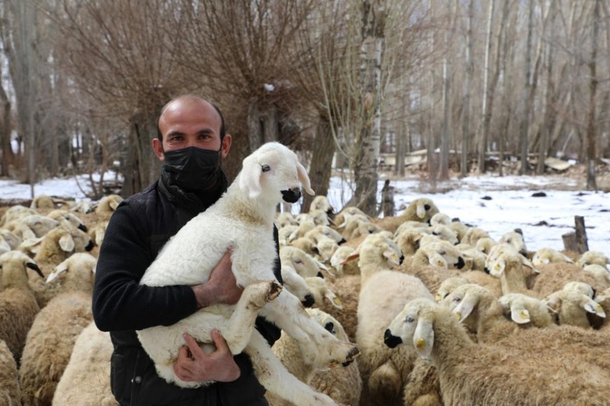 Bu projeyle &ccedil;ift&ccedil;iler 22 bin hayvana kavuştu