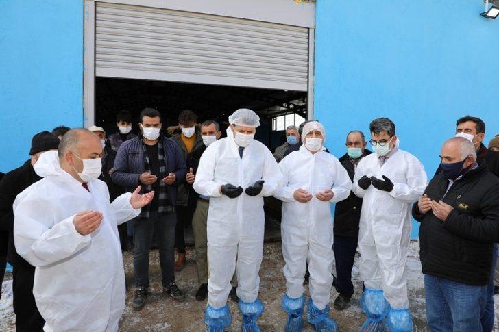 Bu projeyle çiftçiler 22 bin hayvana kavuştu G5