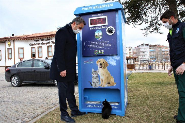 Çevreci mamamatikle sokak hayvanları beslenecek G1