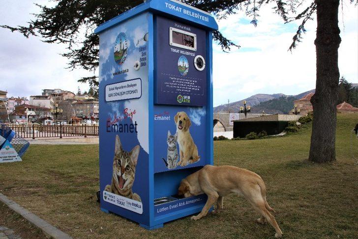 Çevreci mamamatikle sokak hayvanları beslenecek G3