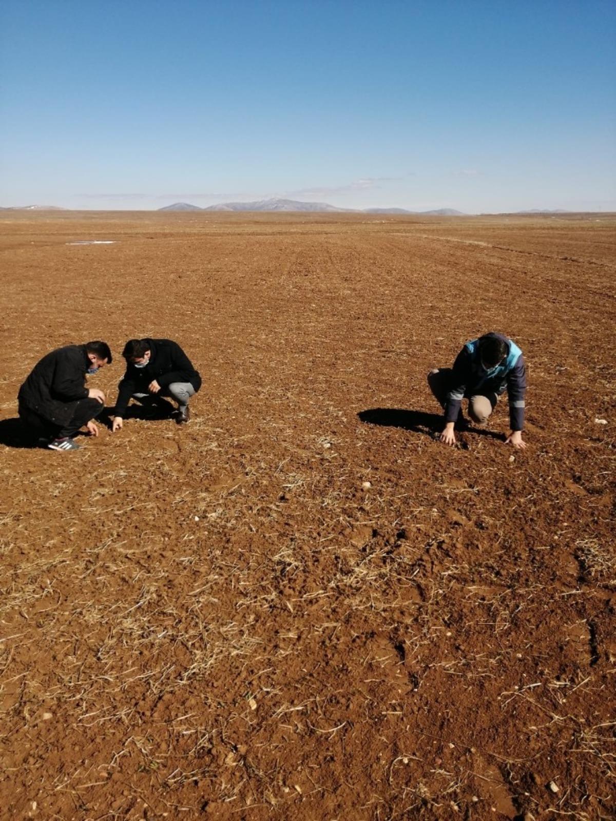 Aslanapa&rsquo;da &rsquo;&rsquo;Zebrus&rsquo;&rsquo; b&ouml;ceği kontrolleri