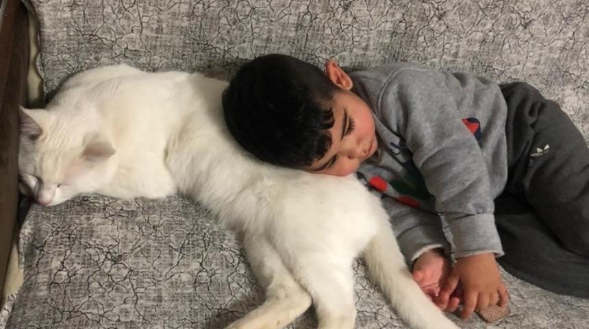 Mahallenin gen&ccedil;leri direkte mahsur kalan kediyi iş makinesiyle kurtardı