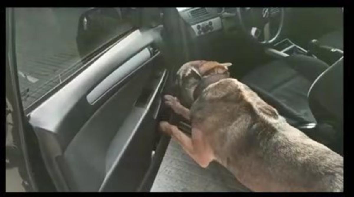 Arabanın &ouml;n kapısına zulalanan uyuşturucu maddesi  Chako&rsquo;ya yakalandı