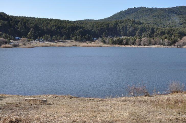 Gölcük Yaylası’nda doğal görsel şölen G4