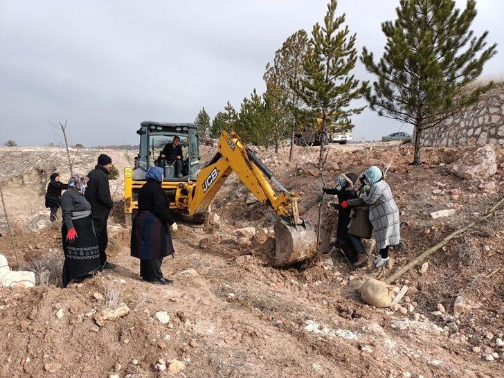 Emet’te ağaçlandırma çalışmaları G1