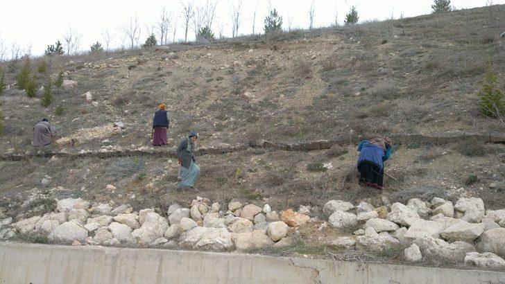 Emet’te ağaçlandırma çalışmaları G2