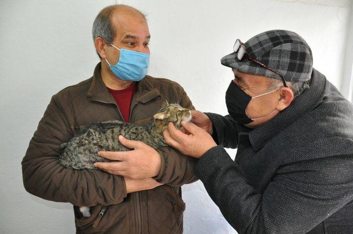 Kayıp kedisine 6 gün sonra kavuştu G2