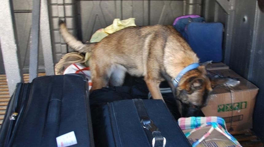 Ş&uuml;pheli otob&uuml;s ve yolcular didik didik arandı