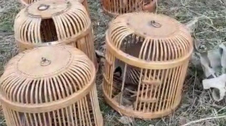 Mardin&rsquo;de tuzakla keklik avlayan 5 kişiye 60 bin lira ceza