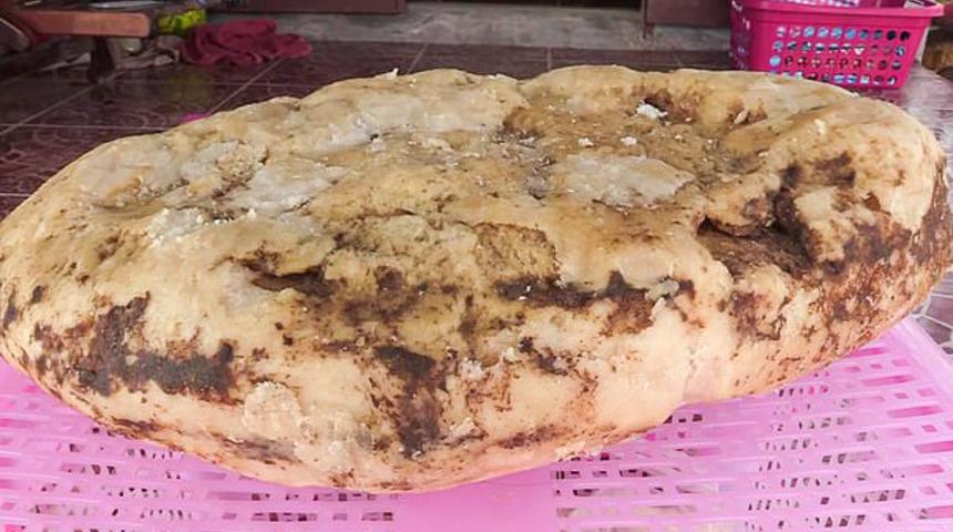 Tayland'da yürüyüşe çıkan kadın milyon liralık balina kusmuğu buldu