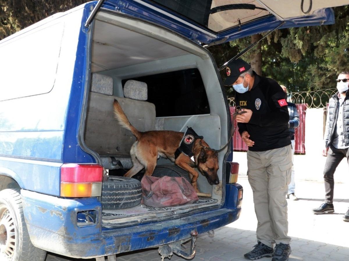 Okul &ouml;nlerinde &ouml;zel harekat destekli narkotik k&ouml;pekli uygulama