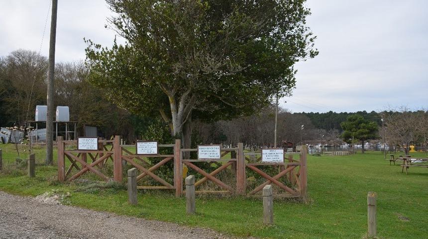 Sinop’taki tarihi mezarların sırrı çözüldü