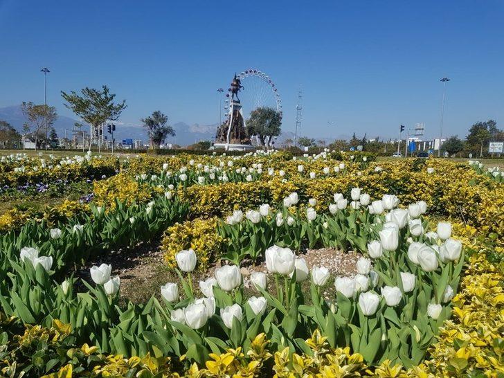 Antalya’da açan 161 bin lale ve sümbül görenleri hayran bırakıyor G2