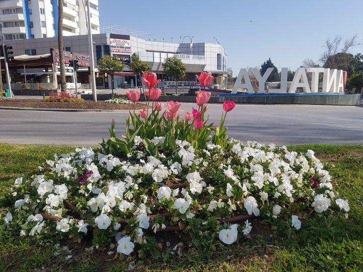 Antalya’da açan 161 bin lale ve sümbül görenleri hayran bırakıyor G4