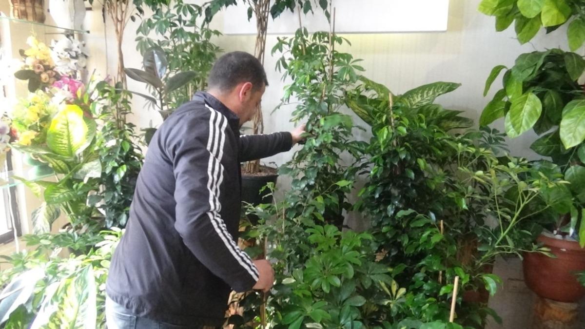 D&uuml;ğ&uuml;n salonlarının a&ccedil;ılması en &ccedil;ok &ccedil;i&ccedil;ek&ccedil;ileri sevindirdi