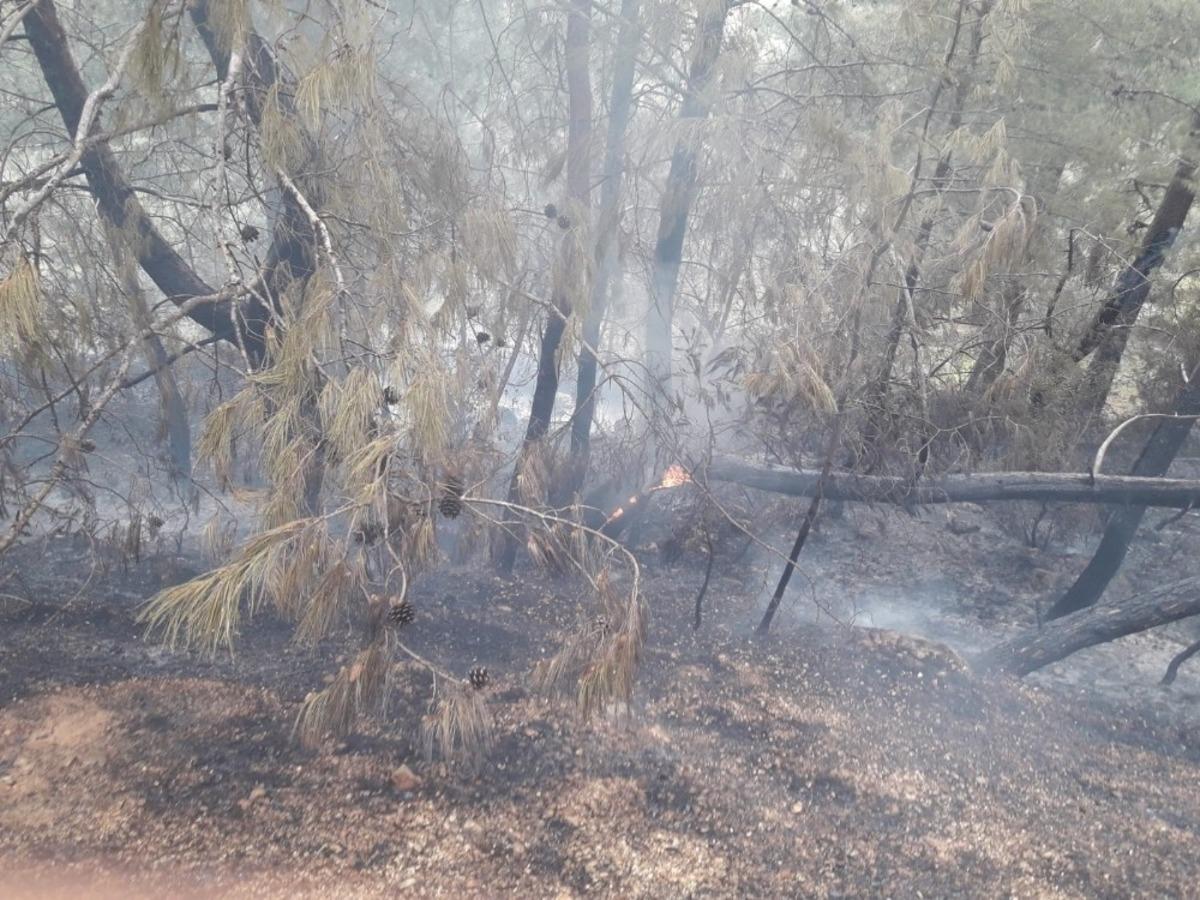 Fethiye&rsquo;de orman yangını