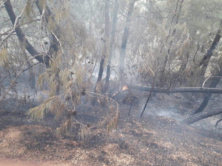 Fethiye’de orman yangını G1