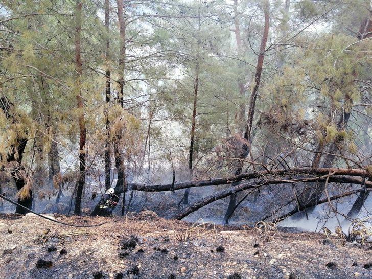 Fethiye’de orman yangını G2