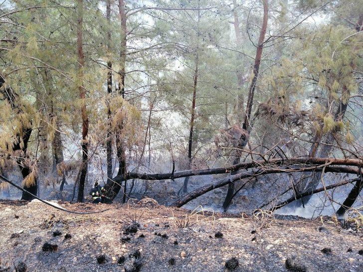 Fethiye’de orman yangını G4