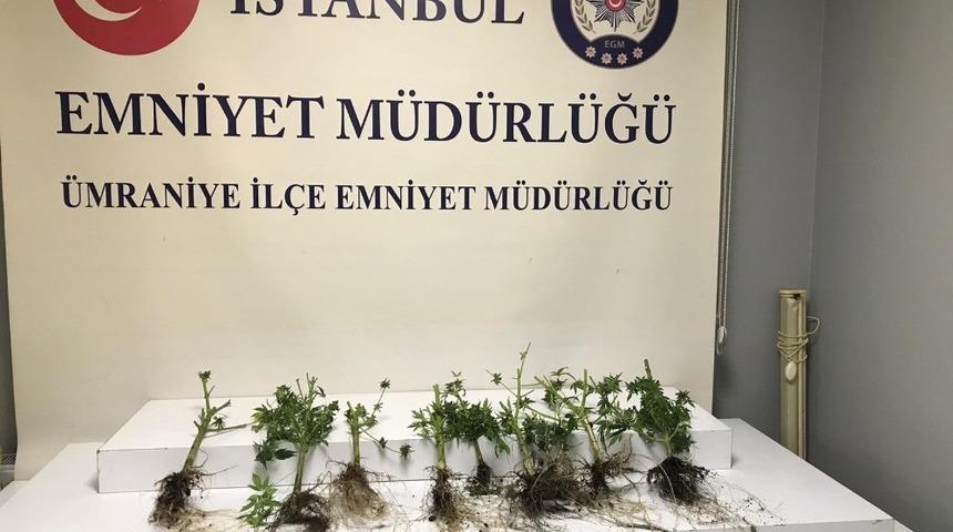 &Uuml;mraniye&rsquo;de uyuşturucu imal edilen eve baskın