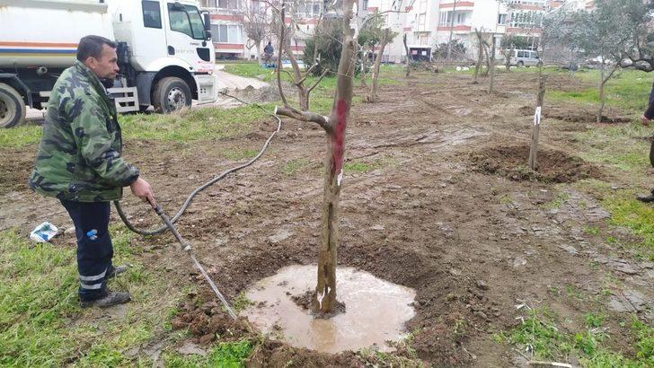 Erdek yeşile sahip çıkıyor G2