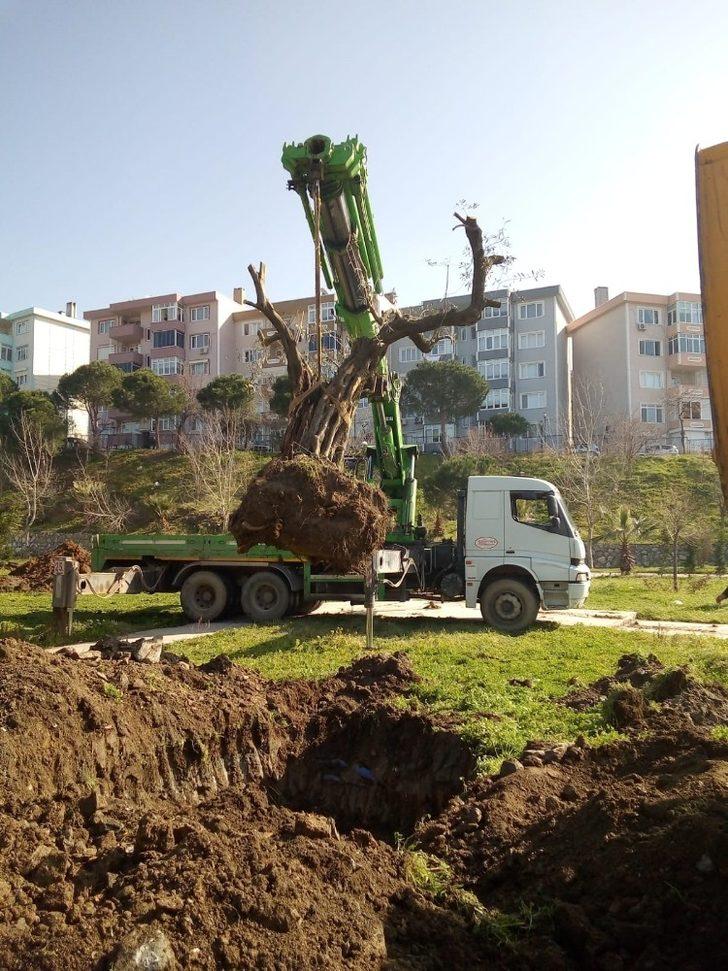 Erdek yeşile sahip çıkıyor G3