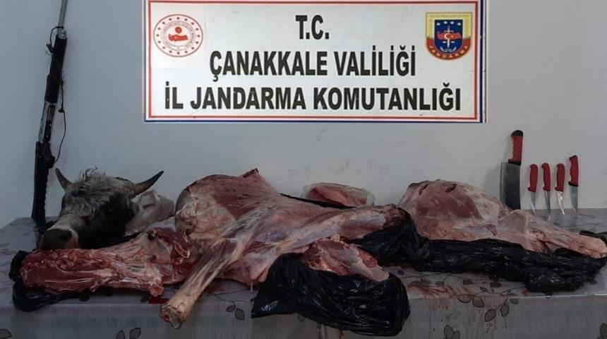 &Ccedil;anakkale&rsquo;de t&uuml;fekle vurdukları hayvanı &ccedil;alan şahıslara su&ccedil;&uuml;st&uuml;