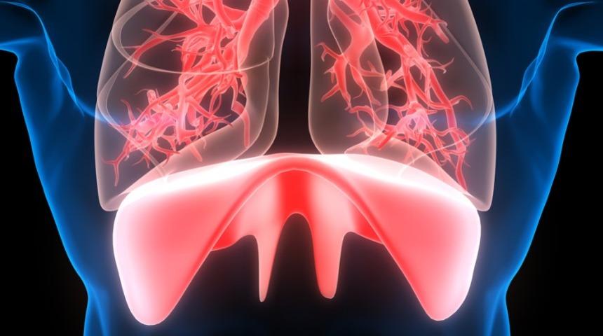 Diyafram yüksekliği belirtileri neler? Nefes darlığı ve taşikardi yaşayanlar dikkat!