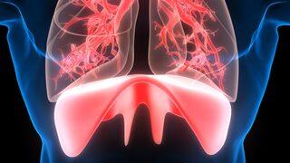 Diyafram yüksekliği belirtileri neler? Nefes darlığı ve taşikardi yaşayanlar dikkat!