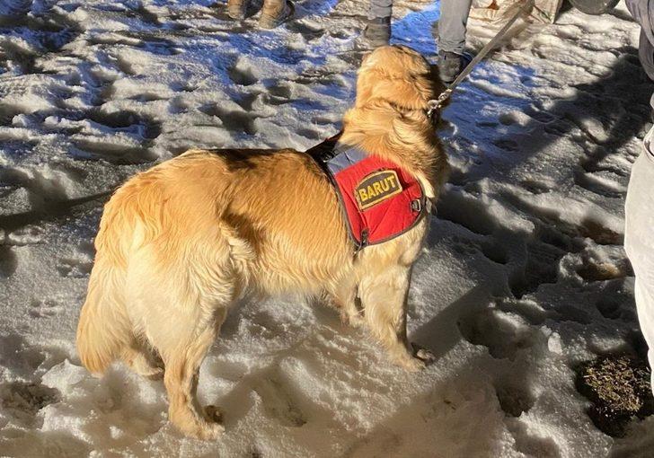 Başkale’de 123 kilogram eroin ele geçirildi G1