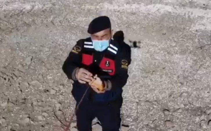 Jandarma yaban keçilerine saman, balıklara drone ile ekmek bıraktı G1